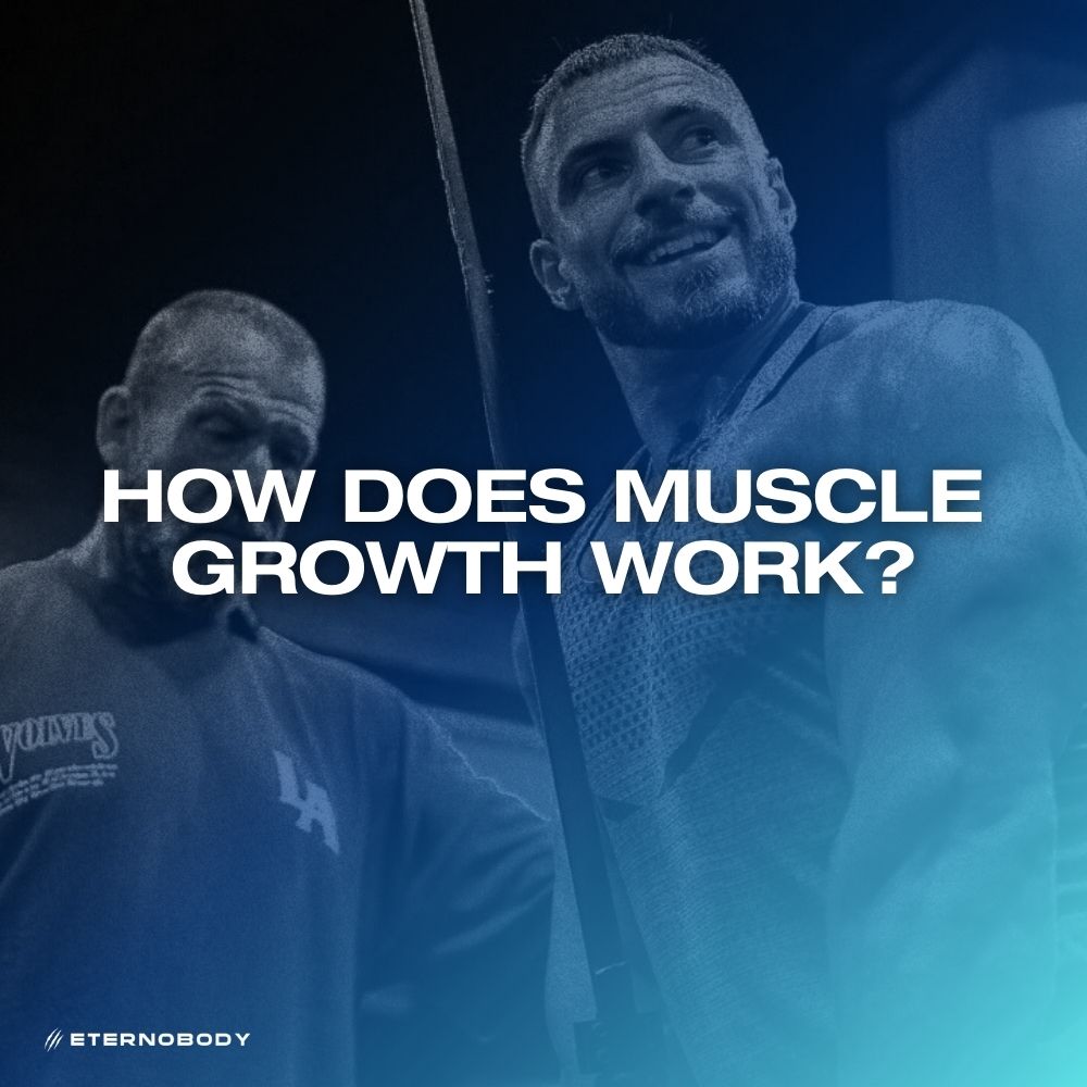 How Does Muscle Growth Work?