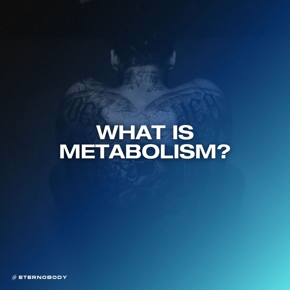 What is Metabolism?