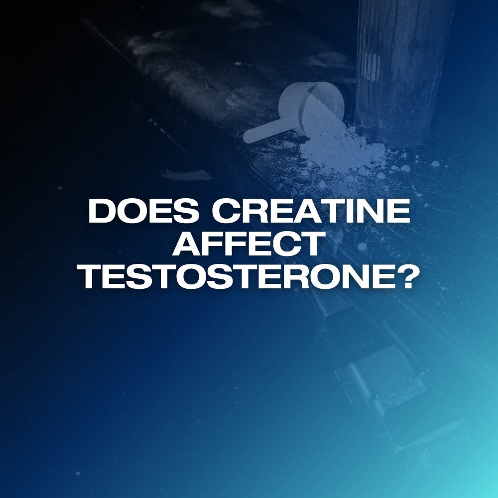 Does creatine affect testosterone: ETERNO blog feature image with the headline Does Creatine Affect Testosterone over a dark blue gradient