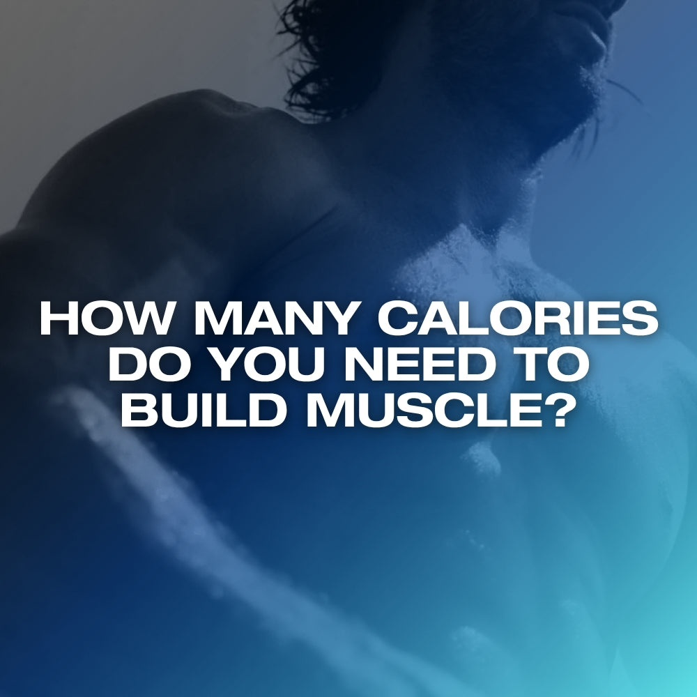 How many calories to build muscle: ETERNO blog feature image with the headline How Many Calories Do You Need to Build Muscle over a dark blue gradient